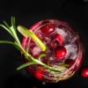 cranberry-GT-cocktailcontessa