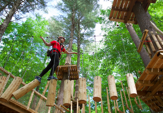 Treetop Trekking